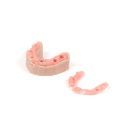 Resina Flex Gingiva Mask - Prusament