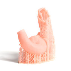 Flex Gingiva Mask - Prusament