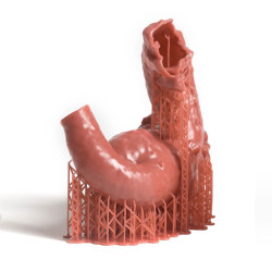 Résine Flex Anatomic - Prusament