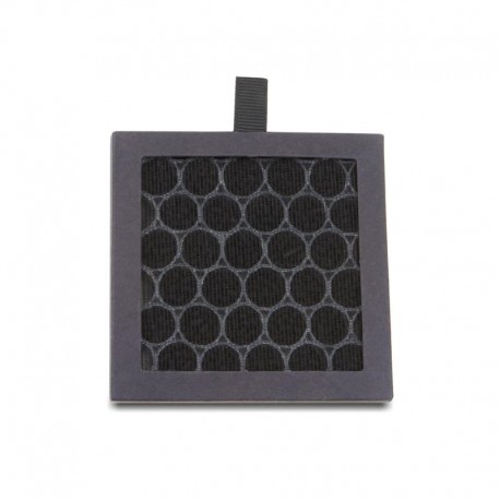 Filtro di carbonio Flashforge Guider IIS